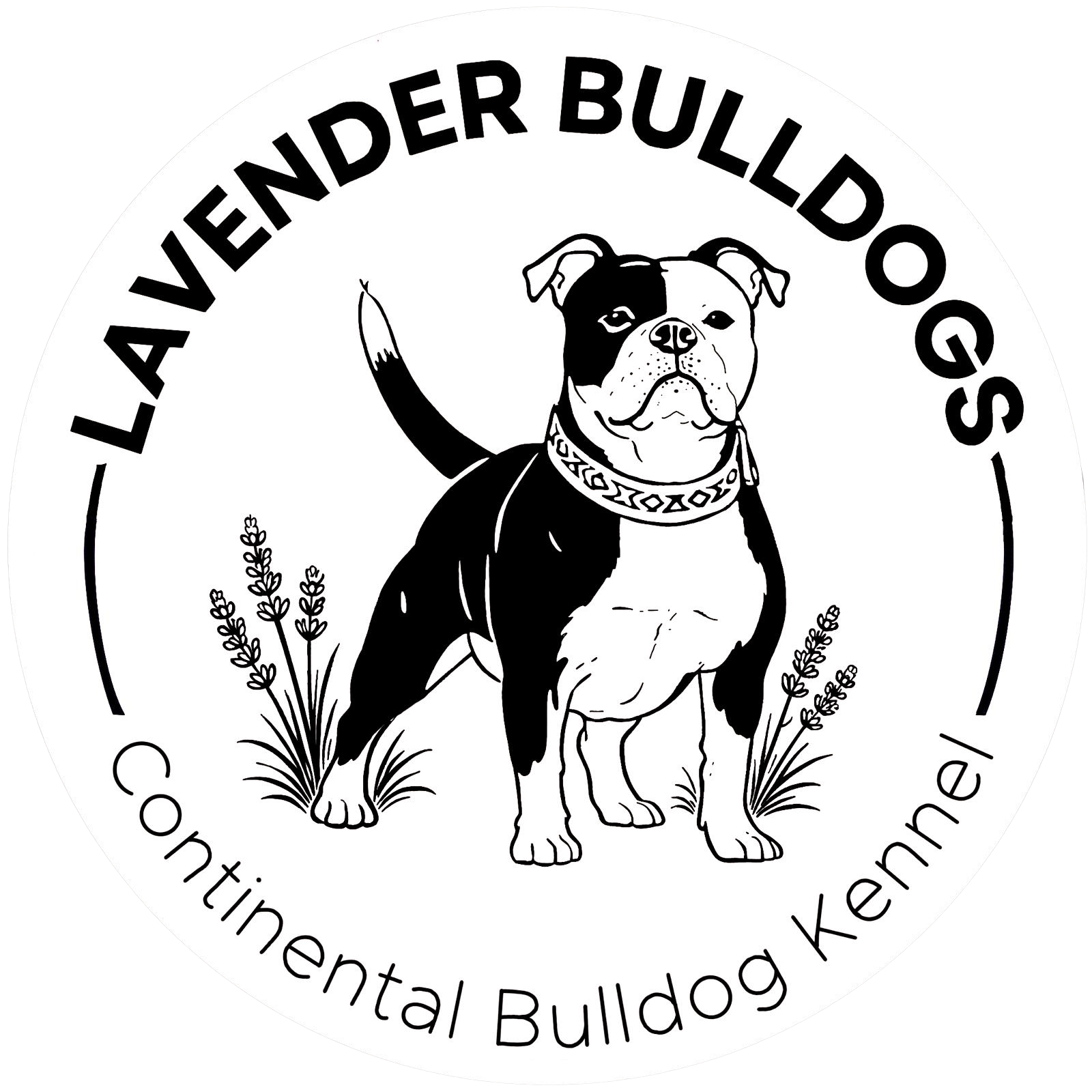 Lavender Bulldogs